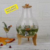 کلمن ایکیا پاشاسازه