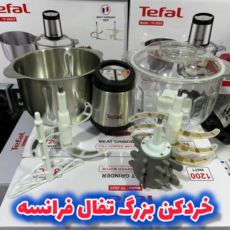 غذاساز تفال