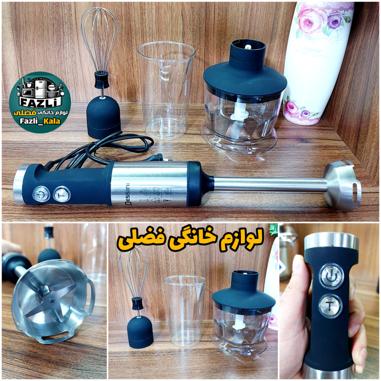 گوشتکوب برقی دسینی ۴ کاره