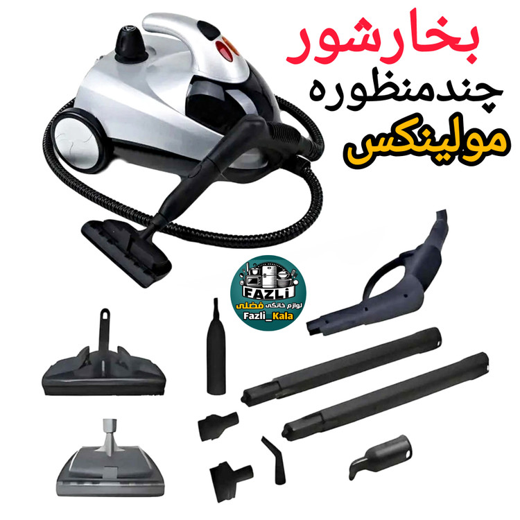 بخارشور ۲ لیتری مولینکس