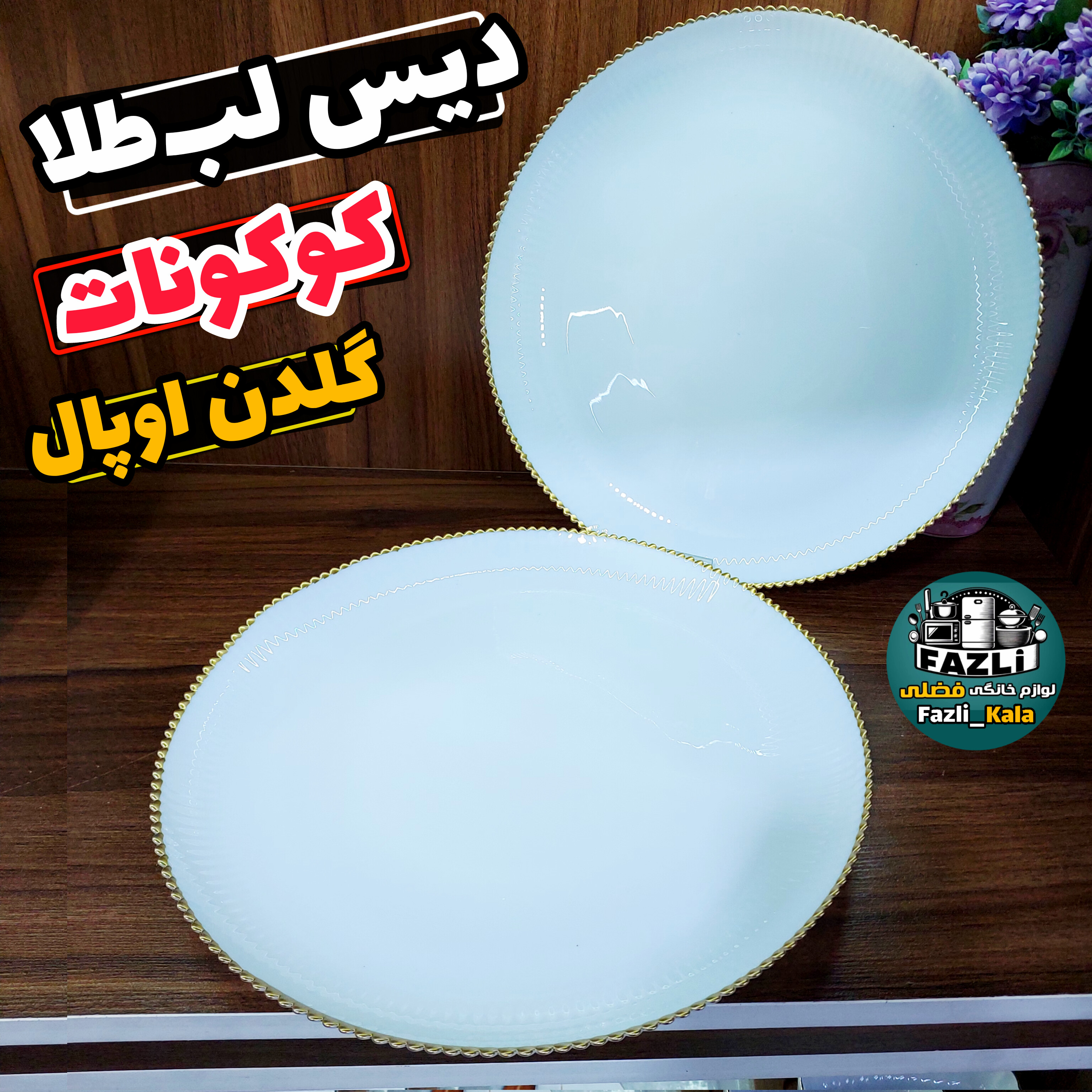 دیس آرکوپال سفید لب طلا گرد 2عددی دیس گرد آرکوپال لب طلا دیس کوکونات گلدن اوپال دیس کوکونات لب طلا گلدن اوپال دیس لب طلا